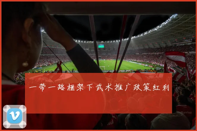 一带一路框架下武术推广政策红利