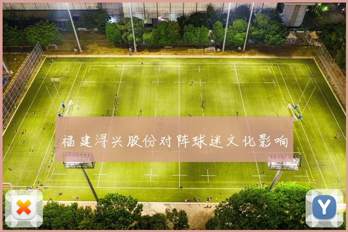 福建浔兴股份对阵球迷文化影响