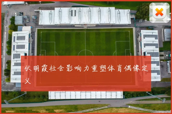 伏明霞社会影响力重塑体育偶像定义