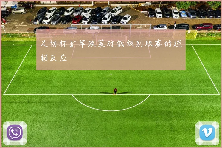 足协杯扩军政策对低级别联赛的连锁反应
