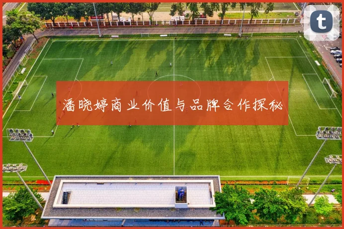 潘晓婷商业价值与品牌合作探秘